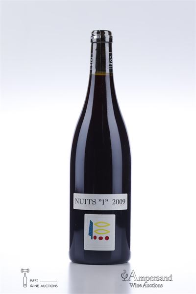 NUITS ST GEORGES 1ER CRU 2009 - Prieure Roch - 1 Bottle