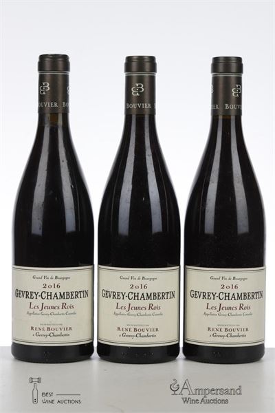 GEVREY CHAMBERTIN LES JEUNES ROIS 2016 - Rene Bouvier - 3 Bottles