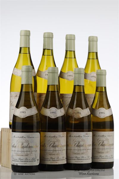 CORTON CHARLEMAGNE 1995 - Rapet - 8 Bottles