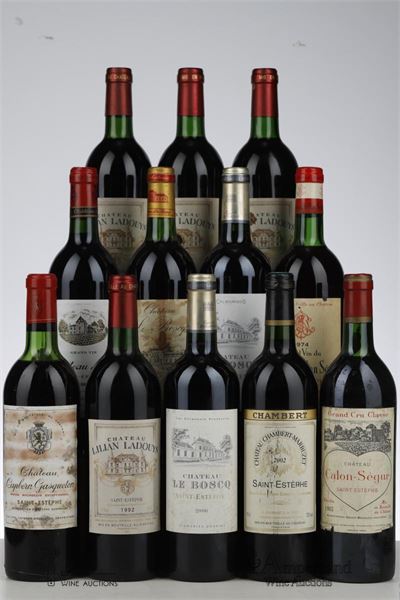 LOT BORDEAUX SAINT ESTEPHE MIXED - Mc - 12 Bottles