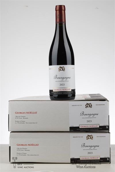 BOURGOGNE ROUGE 2023 - Georges Noellat  - 12 Bottles - Oc 6