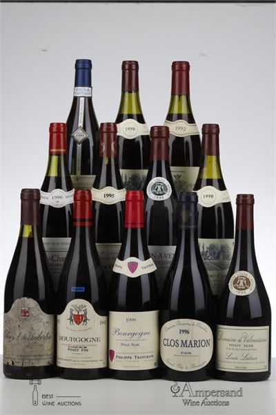 MIXED LOT BOURGOGNE 90 TIES - Various - 12 Bottles