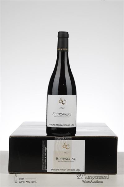 BOURGOGNE ROUGE 2022 - Sylvain Cathiard - 6 Bottles - Oc 6