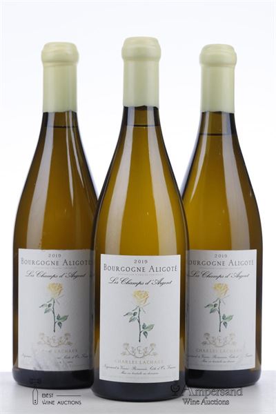 BOURGOGNE ALIGOTE LES CHAMPS D'ARGENT 2019 - Charles Lachaux - 3 Bottles