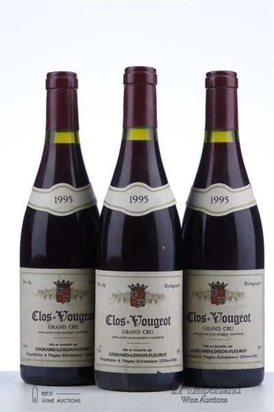CLOS VOUGEOT 1995 - Coquard Fleurot Loison - 3 Bottles