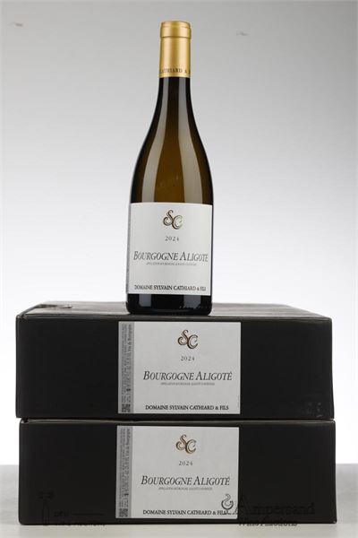 BOURGOGNE ALIGOTE 2024 - Sylvain Cathiard - 12 Bottles - Oc 6