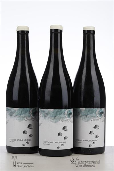 COTEAUX BOURGUIGNONS MON POULAIN 2021 - Les Horees - 3 Bottles