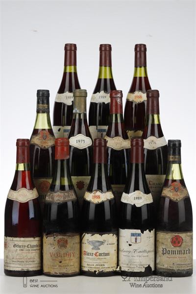 MIXED LOT BOURGOGNE - Various - 12 Bottles