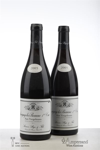 SAVIGNY LES BEAUNE AUX VERGELESSES 2005 - Simon Bize - 2 Bottles