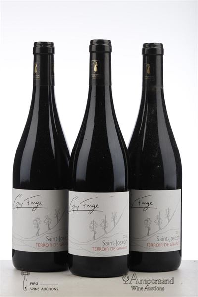 SAINT JOSEPH TERROIR DE GRANIT 2016 - Guy Farge - 3 Bottles