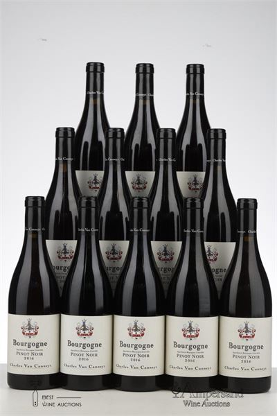 BOURGOGNE PINOT NOIR 2016 - Charles Van Canneyt - 12 Bottles