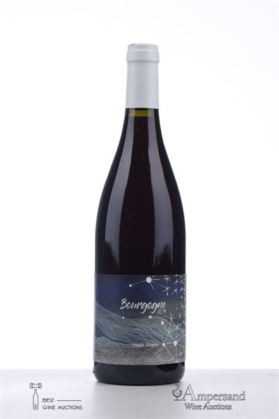 BOURGOGNE ROUGE CUVEE LONGUE 2019 - David Didon - 1 Bottle