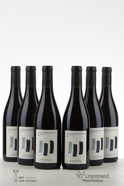 COTEAUX BOURGUIGNONS LES PAQUIERS 2022 - Vincent Paindavoine - 6 Bottles