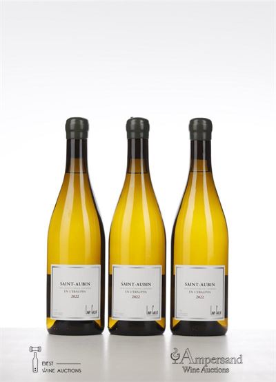SAINT AUBIN BLANC EN L'EBAUPIN 2022 - Lamy Caillat - 3 Bottles