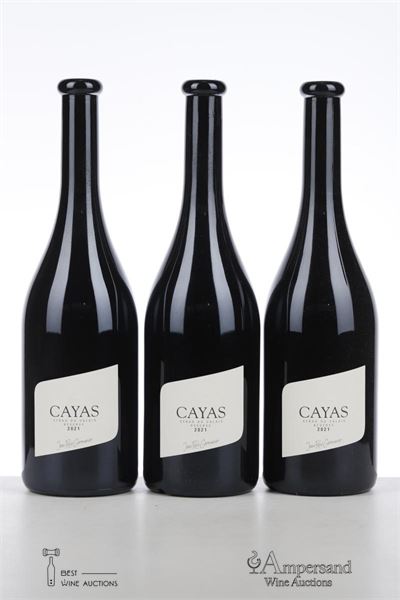 SYRAH DU VALAIS RESERVE CAYAS 2021 - Jean Rene Germanier - 3 Bottles