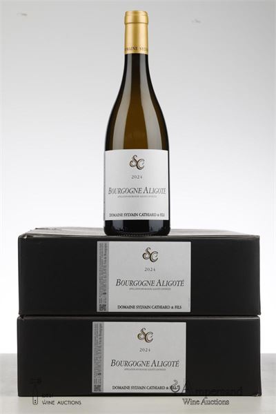 BOURGOGNE ALIGOTE 2024 - Sylvain Cathiard - 12 Bottles - Oc 6
