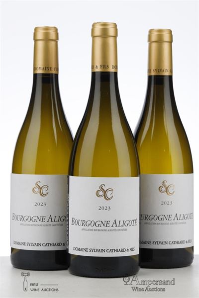 BOURGOGNE ALIGOTE 2023 - Sylvain Cathiard - 3 Bottles