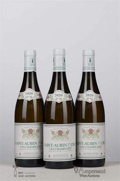 SAINT AUBIN BLANC LES CHAMPLOTS 2020 - Gilles Bouton - 3 Bottles