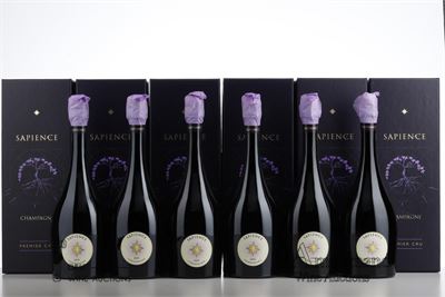 MARGUET SAPIENCE 1 ER CRU 2009 - Benoit Marguet - 6 Bottles - Oc 1