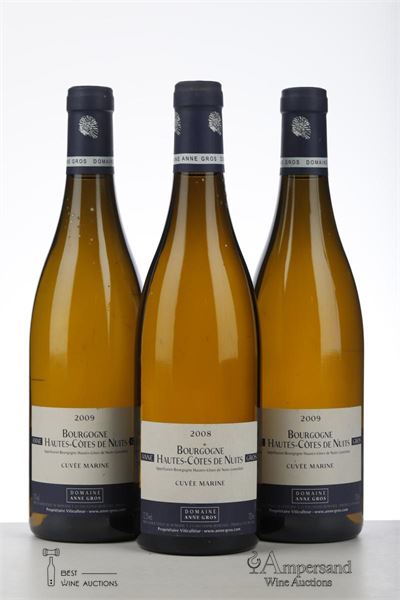 BOURGOGNE HAUTES COTES DE NUITS BLANC CUVEE MARINE MIXED 1*2008 + 2*2009 - Anne Gros - 3 Bottles