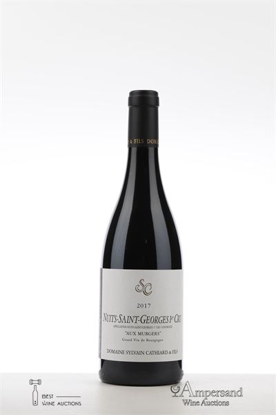 NUITS ST GEORGES AUX MURGERS 2017 - Sylvain Cathiard - 1 Bottle