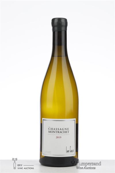 CHASSAGNE MONTRACHET BLANC 2019 - Lamy Caillat - 1 Bottle