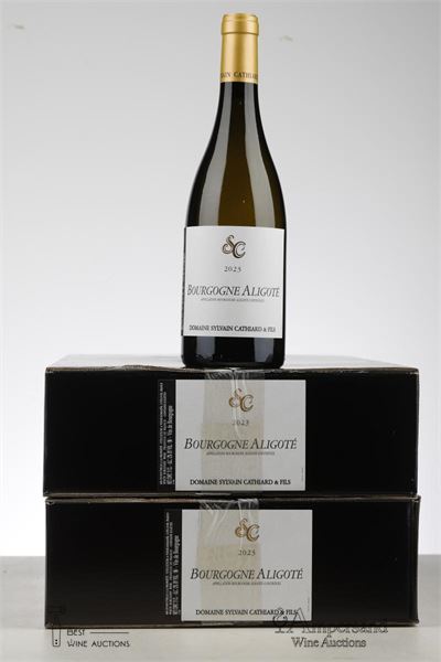BOURGOGNE ALIGOTE 2023 - Sylvain Cathiard - 12 Bottles - Oc 6