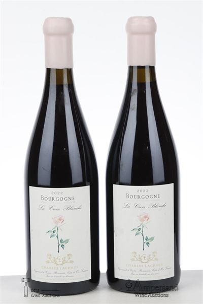 BOURGOGNE ROUGE LA CROIX BLANCHE 2022 - Charles Lachaux - 2 Bottles