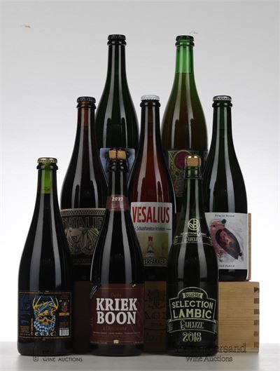 VESALIUS/ OUDE GEUZE 1871/STOUT ZOMBINATION I/NATALIE/HOPFEN WEISST/ERIQ LE GRAND FRUITED HYBRID/LAMBIC/OUDE KRIEK NV - Mixed Producers - 8 Bottles