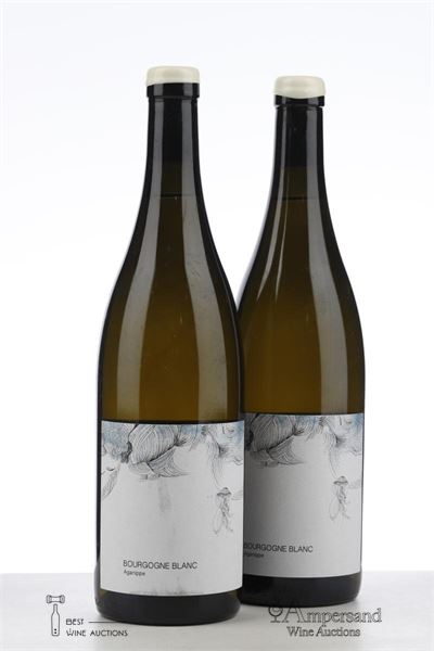 BOURGOGNE BLANC AGANIPPE 2021 - Les Horees - 2 Bottles