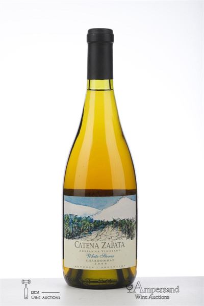 ADRIANNA VINEYARD WHITE STONES CHARDONNAY 2009 - Catena Zapata - 1 Bottle