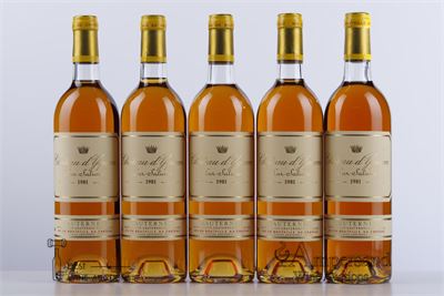 YQUEM 1981 - 5 Bottles