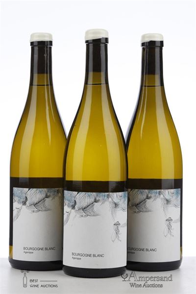 BOURGOGNE BLANC AGANIPPE 2023 - Les Horees - 3 Bottles