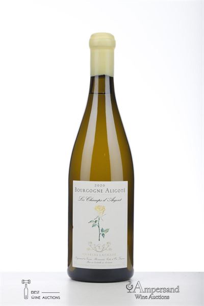 BOURGOGNE ALIGOTE 2020 - Charles Lachaux - 1 Bottle