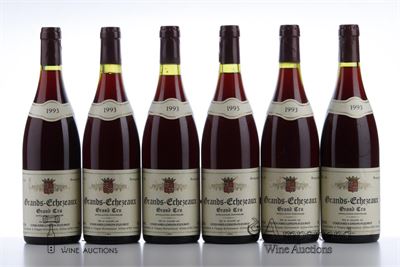 GRANDS ECHEZEAUX 1993 - Coquard Loison Fleurot - 11 Bottles