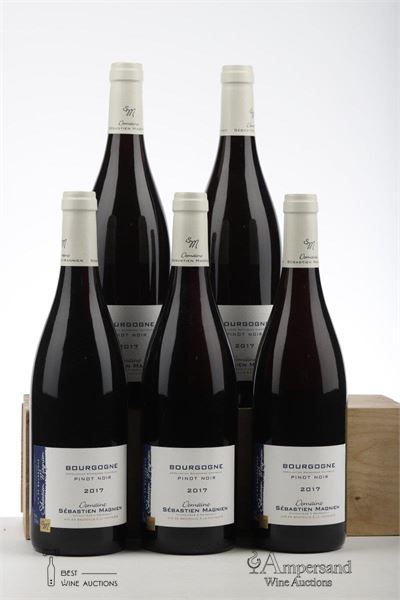 BOURGOGNE PINOT NOIR 2017 - Sebastien Magnien - 5 Bottles