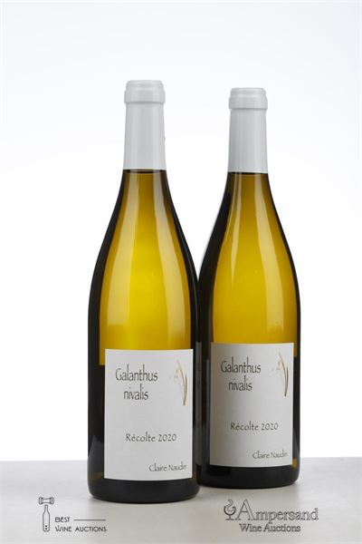 GALANTHUS NIVALIS VIN DE FRANCE  2020 - Claire Naudin - 2 Bottles