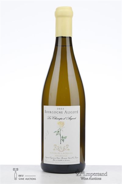 BOURGOGNE ALIGOTE LES CHAMPS D'ARGENT 2023 - Charles Lachaux - 1 Bottle