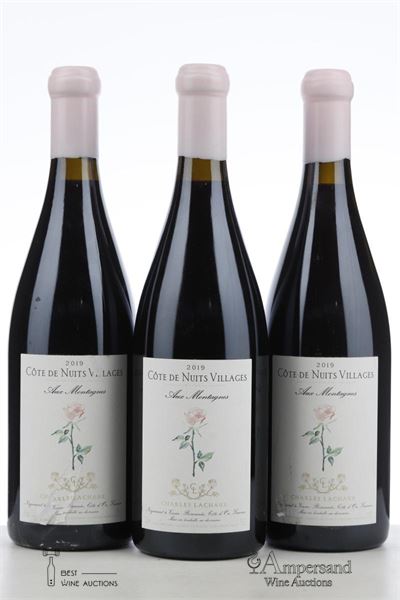 COTE DE NUITS VILLAGES AUX MONTAGNES 2019 - Charles Lachaux - 3 Bottles