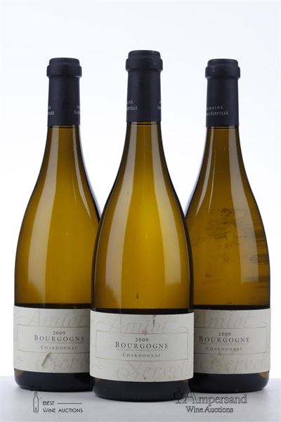 BOURGOGNE CHARDONNAY 2009 - Amiot Servelle - 3 Bottles