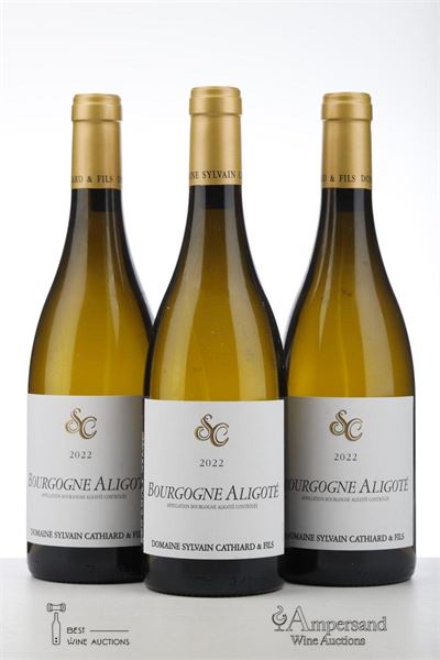 BOURGOGNE ALIGOTE 2022 - Sylvain Cathiard - 3 Bottles