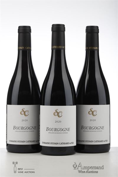 BOURGOGNE ROUGE 2020 - Sylvain Cathiard - 3 Bottles