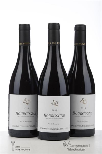 BOURGOGNE ROUGE 2019 - Sylvain Cathiard - 3 Bottles