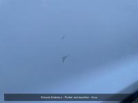 Opel Vivaro 2.0 CDTI L2H1 Edition | 2020 | 56.347 km | Automaat | VFD93N | NAP: Logisch