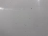 Dacia | Dokker | 1.5 Blue dCi 75 Essential | 2020 | 197.107 km | VFV74H | Logisch