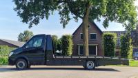 Mercedes-Benz | Sprinter Ramp Van | 519 3.0 CDI 432 Automatic | 2010 | 311,200 km | VJZ39D | No rating