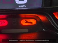 Renault Trafic 1.6 dCi T29 L2H1 Work Edition Energy | 2019 | 215.125 km | VBT64N | NAP: Logisch