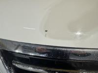 Volkswagen | Tiguan | 1.4 TSI Sport&Style | 2009 | 163,225 km | 87HJH8 | Logical