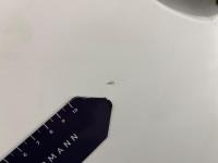 Citroen Berlingo 1.5 BlueHDI Club | 2020 | 68.154 km | VFS75N | NAP: Logisch