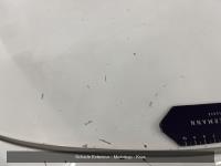 Citroen Berlingo 1.5 BlueHDI Club | 2020 | 68.154 km | VFS75N | NAP: Logisch